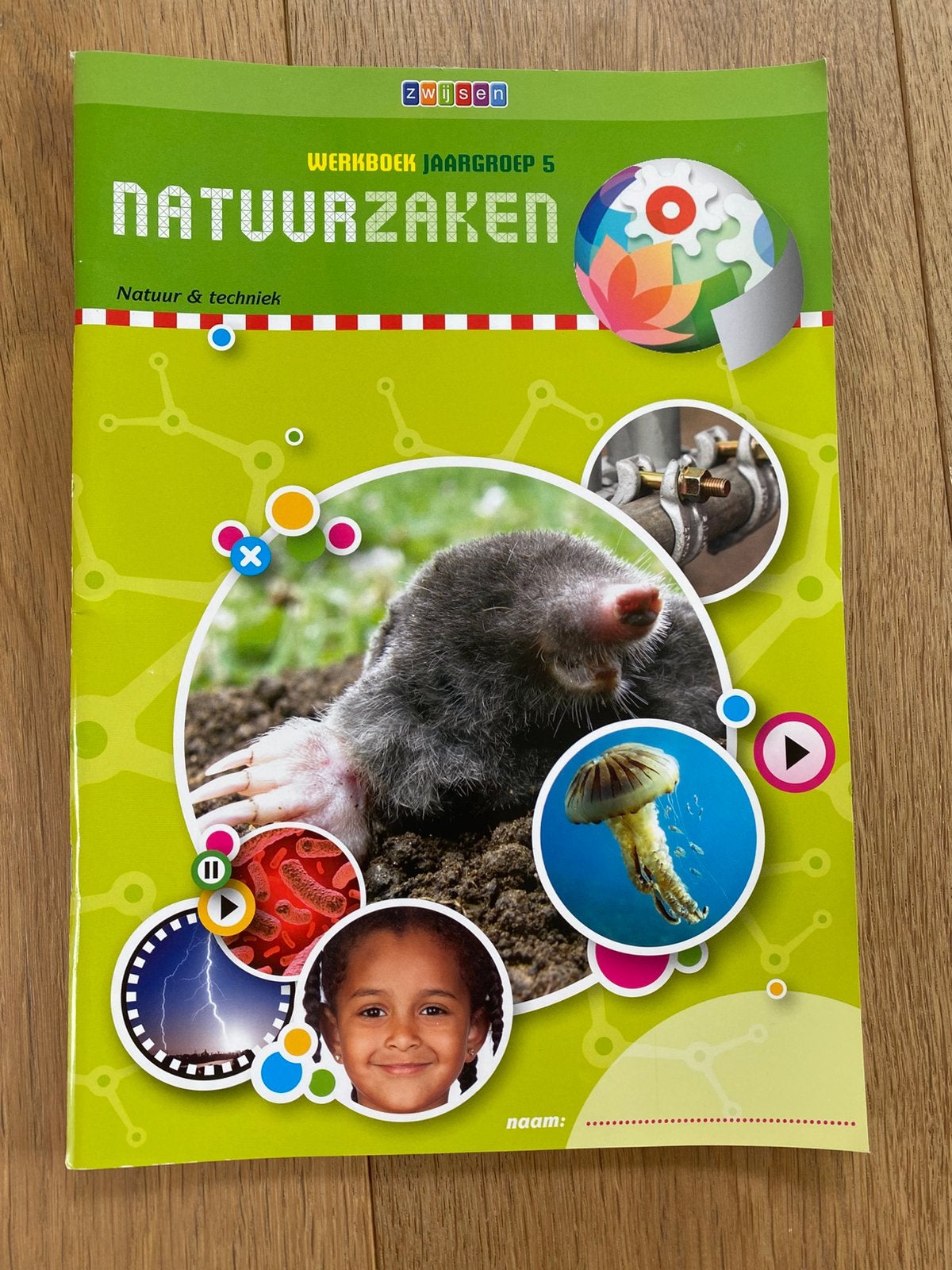 Werkboek jaargroep 5 Wereldzaken Natuur & techniek Zwijsen, Ophalen of Verzenden, Nieuw, Zwijsen