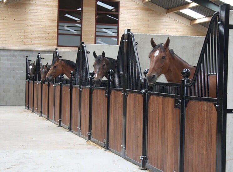 44. Paardenbox | luxe paardenstal | stalwanden paardenbox, Dieren en Toebehoren, Stalling en Weidegang, Stalling, 1 paard of pony