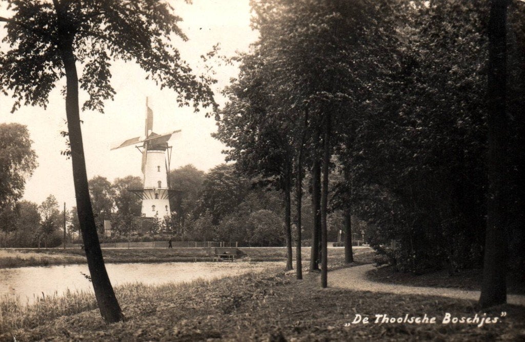 Ansichtkaart  Tholen, Ophalen of Verzenden, Zeeland