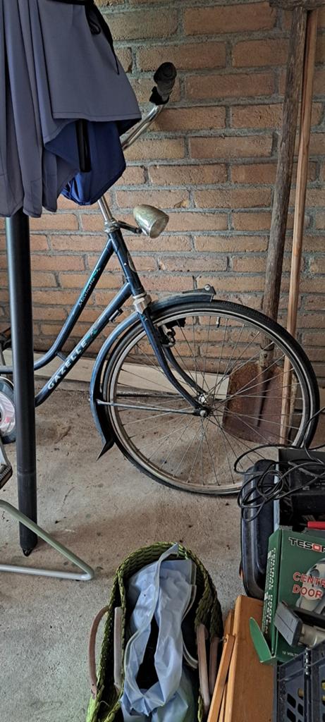 Opknap fiets, Ophalen of Verzenden