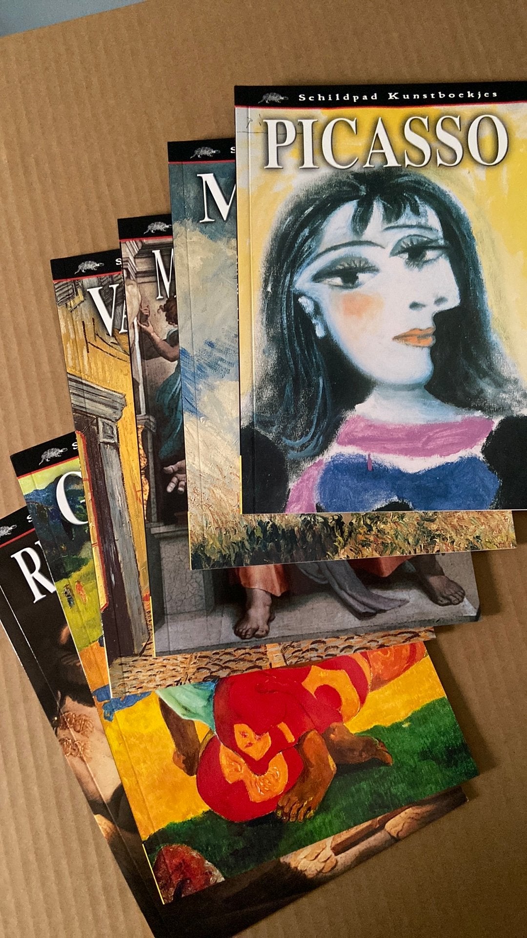 Schildpad kunstboekjes Picasso etc., Verzenden, Nieuw, Schilder- en Tekenkunst