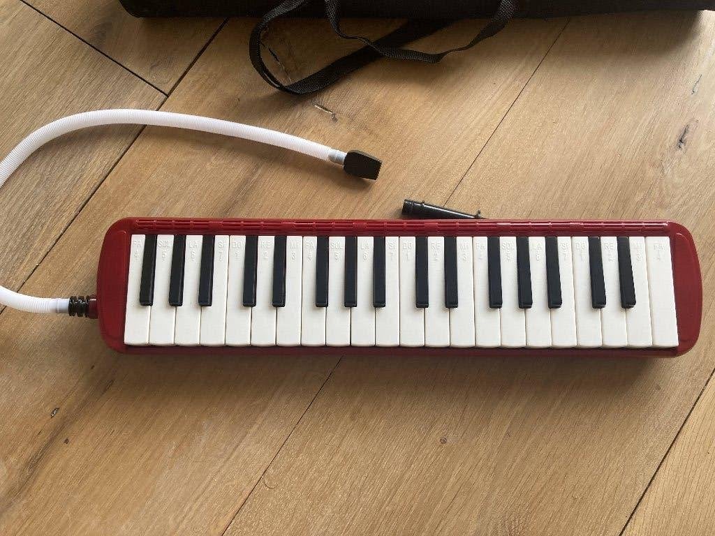 melodica, Muziek en Instrumenten, Ophalen of Verzenden, Zo goed als nieuw, Overige typen