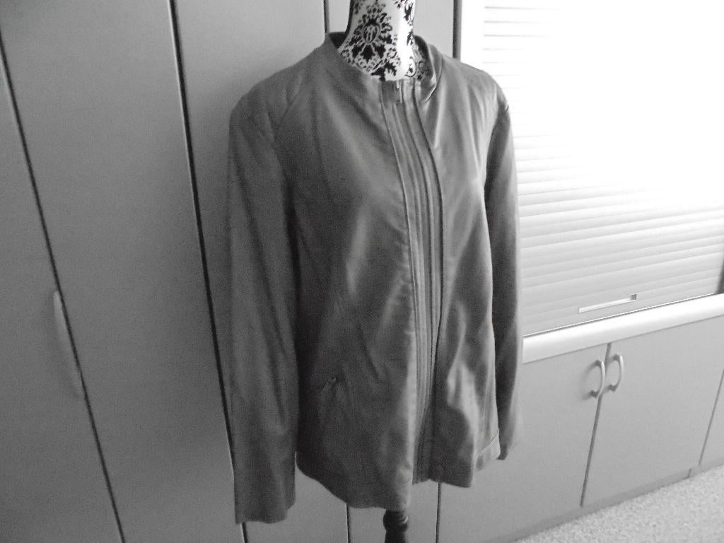 Jasje Promiss maat 52 grijs/groen, Kleding | Dames, Grote Maten, Promiss, Ophalen of Verzenden, Jasje of Colbert, Grijs