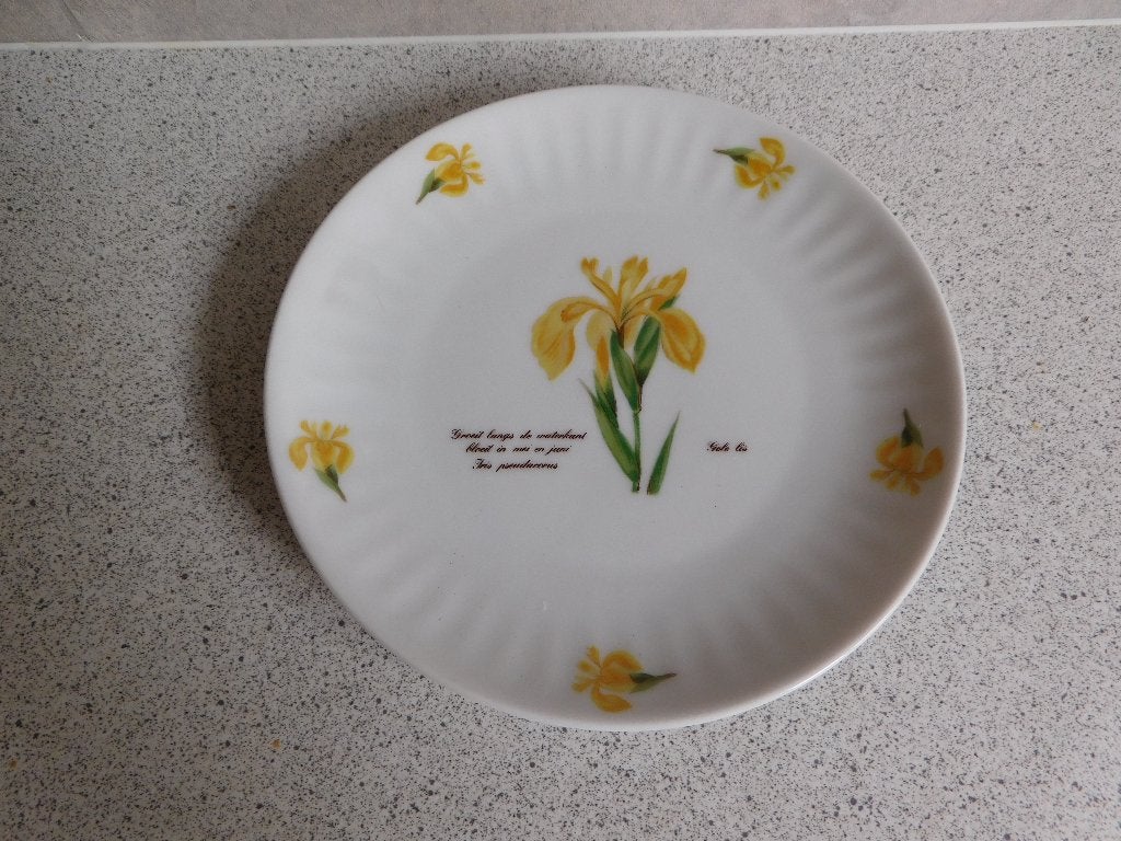 Bord 21 cm. Gele Lis Libelle Exclusief Marjolein Bastin, Huis en Inrichting, Keuken | Servies, Overige merken, Ophalen of Verzenden