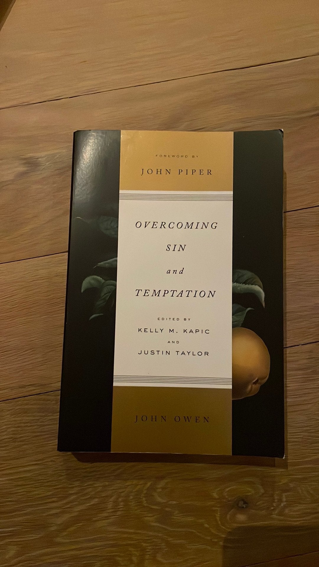 Overcoming sin and temptation, Ophalen of Verzenden, Zo goed als nieuw, Gehele gezicht