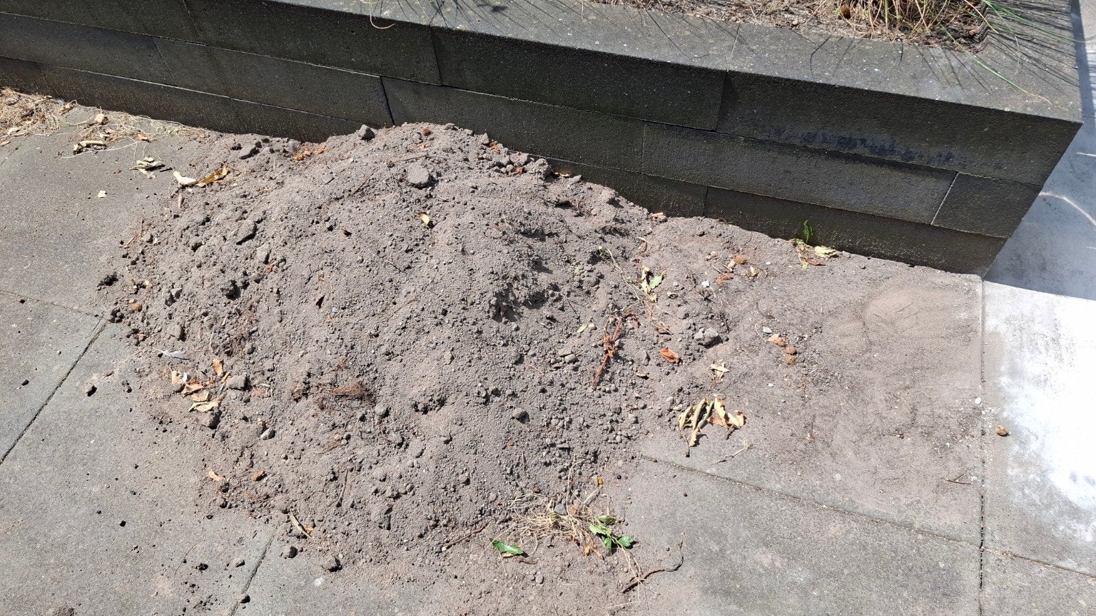 zwarte grond gratis., Ophalen, Minder dan 100 cm, Overige typen, 50 cm of meer
