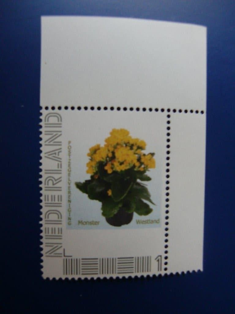 Persoonlijke zegel - Aloe Vera - Westland - Hoekstuk - pf, Verzenden, Na 1940, Postfris