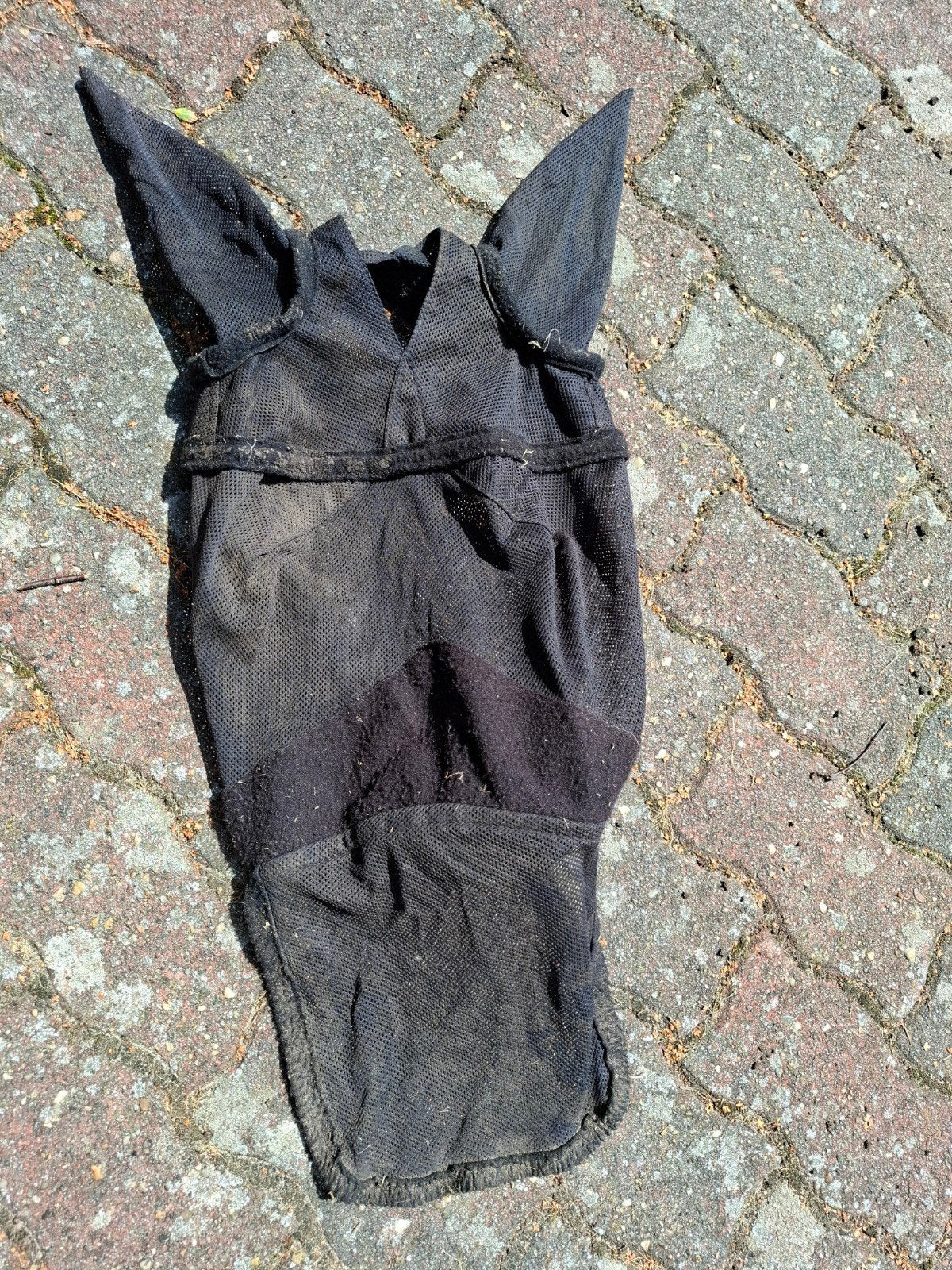 vliegenkap maat cob, Dieren en Toebehoren, Ophalen, Gebruikt