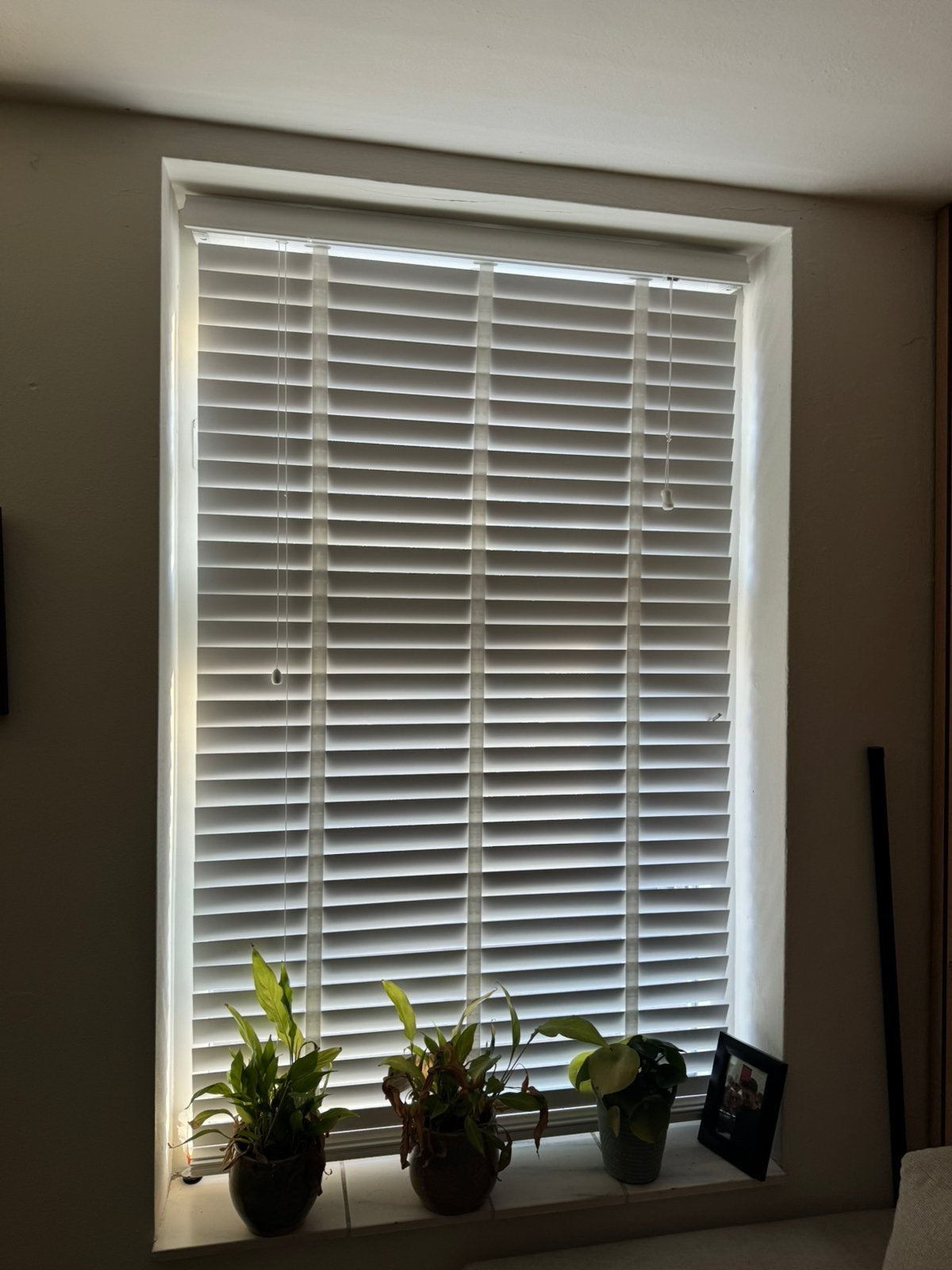 Twee keer Fenstr jaloezie hout 50 mm wit - 100x180 cm, Ophalen, Jaloezie, 180 cm, Wit