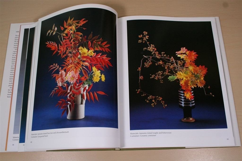 Ikebana Kunst — Seizoensbloemen & Technieken, Ophalen of Verzenden, Zo goed als nieuw, Tekenen en Schilderen