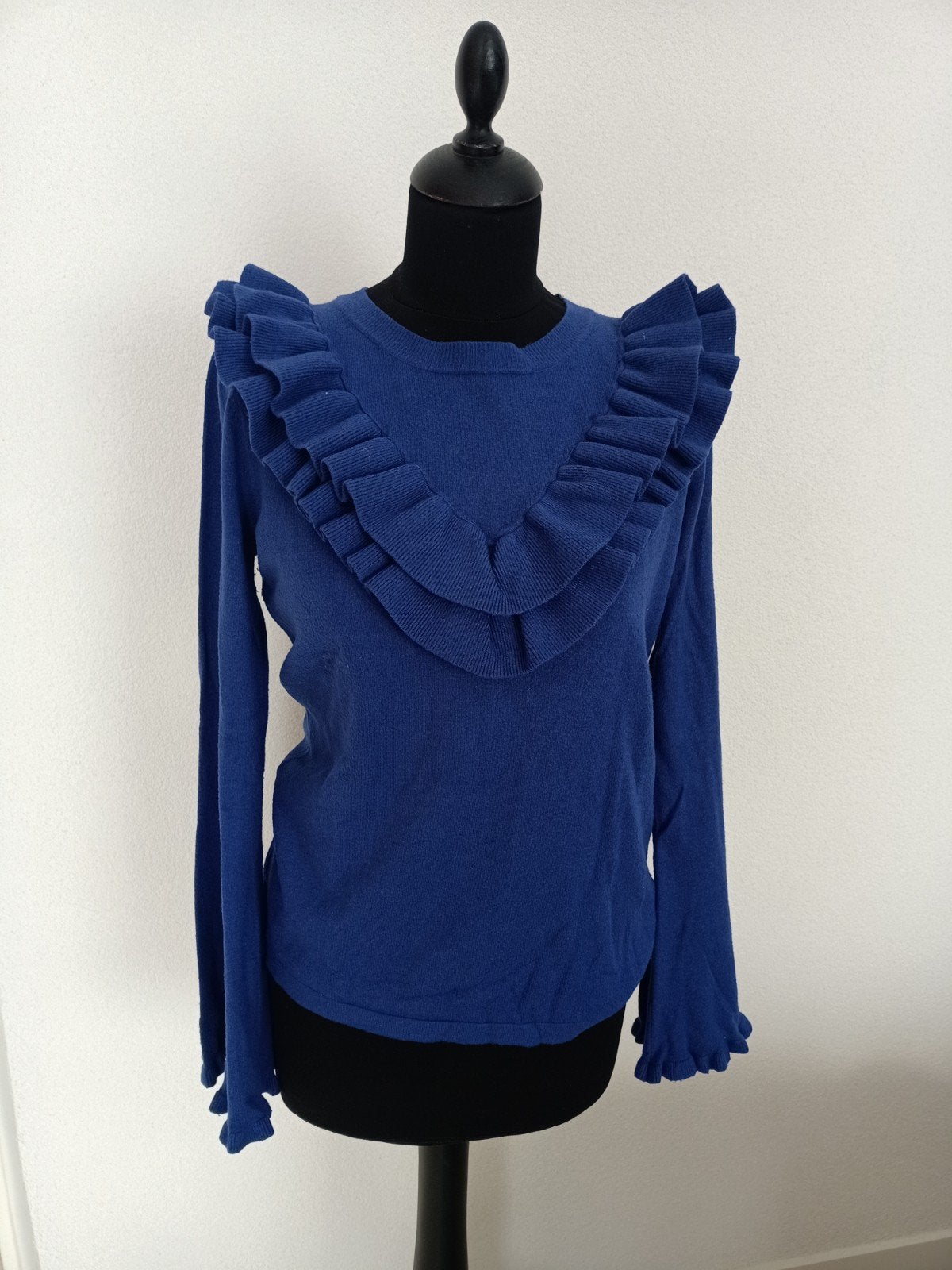 Trui Ambika maat L, Ophalen of Verzenden, Gedragen, Maat 38/40 (M), Blauw