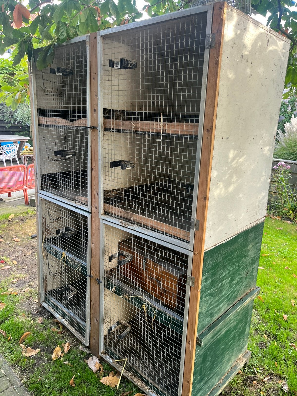 Konijnen flat 8 delig, Dieren en Toebehoren, Ophalen, Cavia, 90 cm of meer, Hok