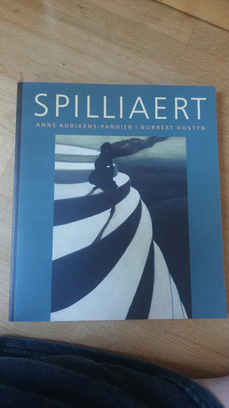 Spilliaert: Kunstboek over de Belgische kunstenaar, Ophalen of Verzenden, Zo goed als nieuw, Overige onderwerpen, Anne Adriaens-Pannier en Norbert Hostyn