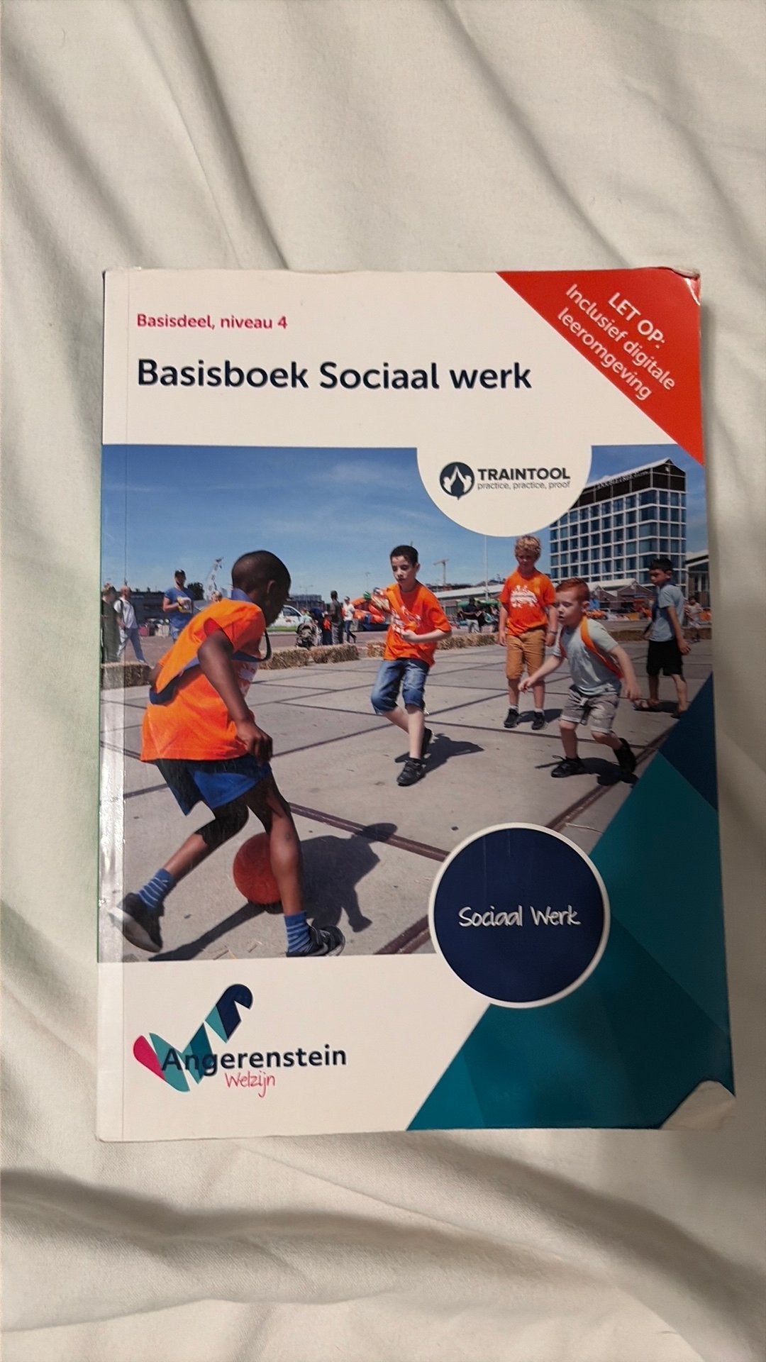 Basis boek social work Mbo 4, Boeken, Ophalen of Verzenden, Zo goed als nieuw, Overige niveaus, Nederlands