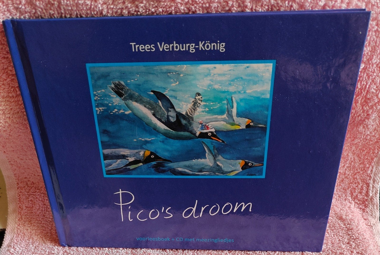Trees Verburg-König - Pico's droom, Fictie algemeen, Trees Verburg-König, Ophalen of Verzenden, Zo goed als nieuw