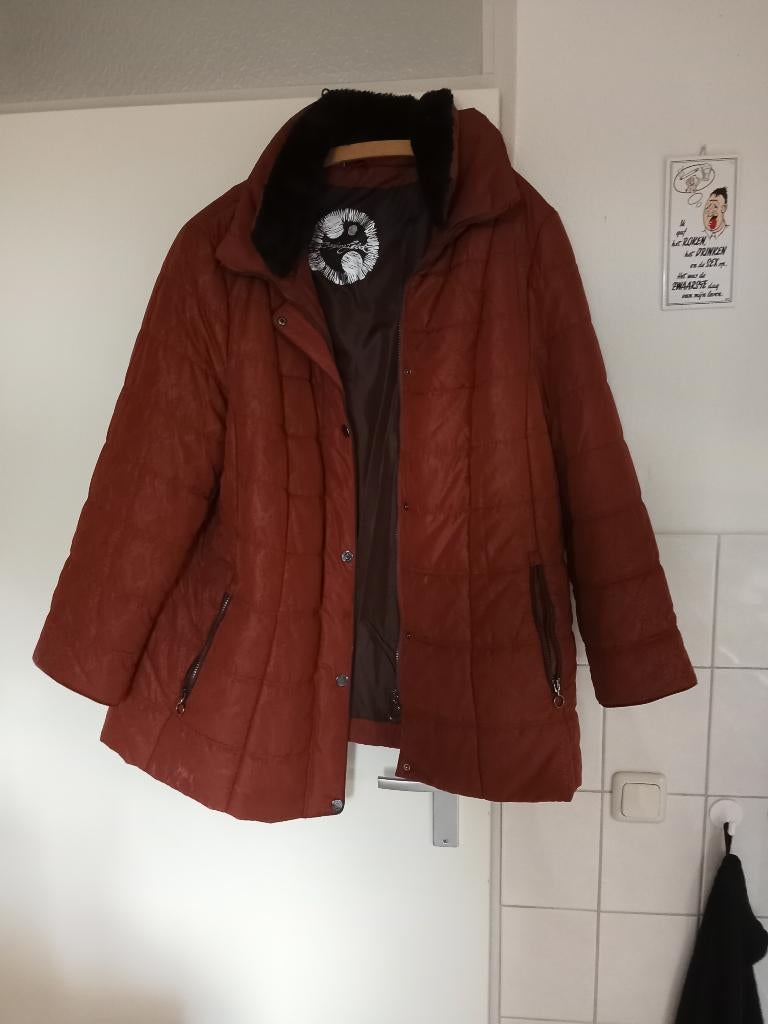 Nieuwe  dames winterjas, Kleding | Dames, Jassen | Winter, Bruin, Maat 46/48 (XL) of groter, Nieuw, Ophalen of Verzenden