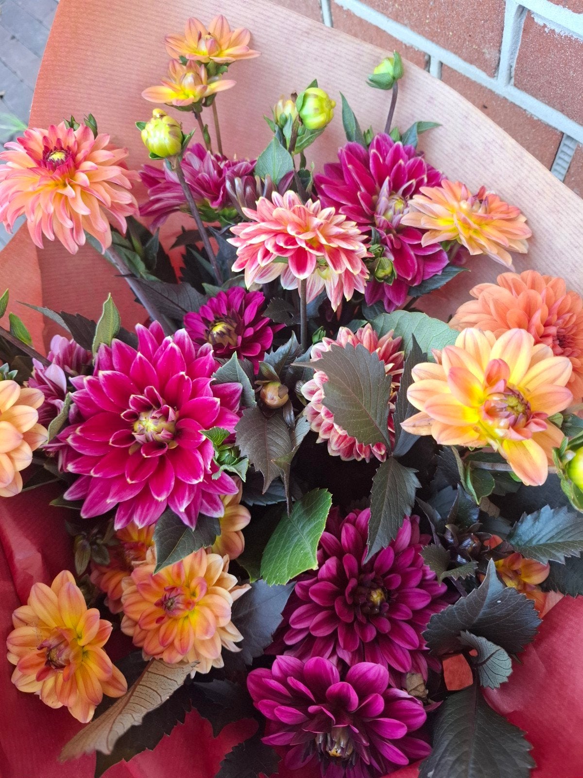 Dahlia plukboeketten, Tuin en Terras, Bloembollen en Zaden, Ophalen, Volle zon, Knol