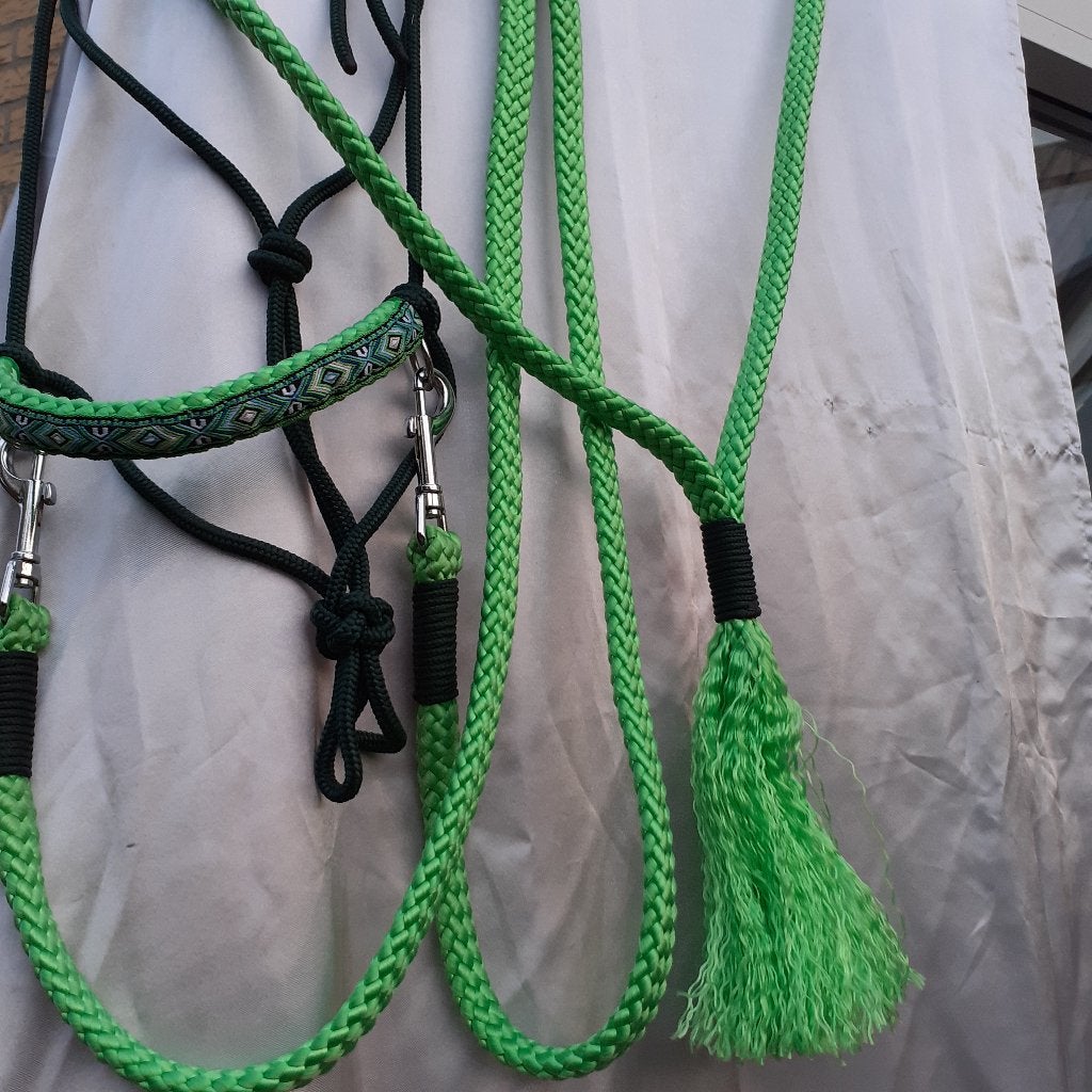 Touwhalsterstje: halster-teugel - neckrope, Recreatie, Nieuw, Ophalen of Verzenden, Groen