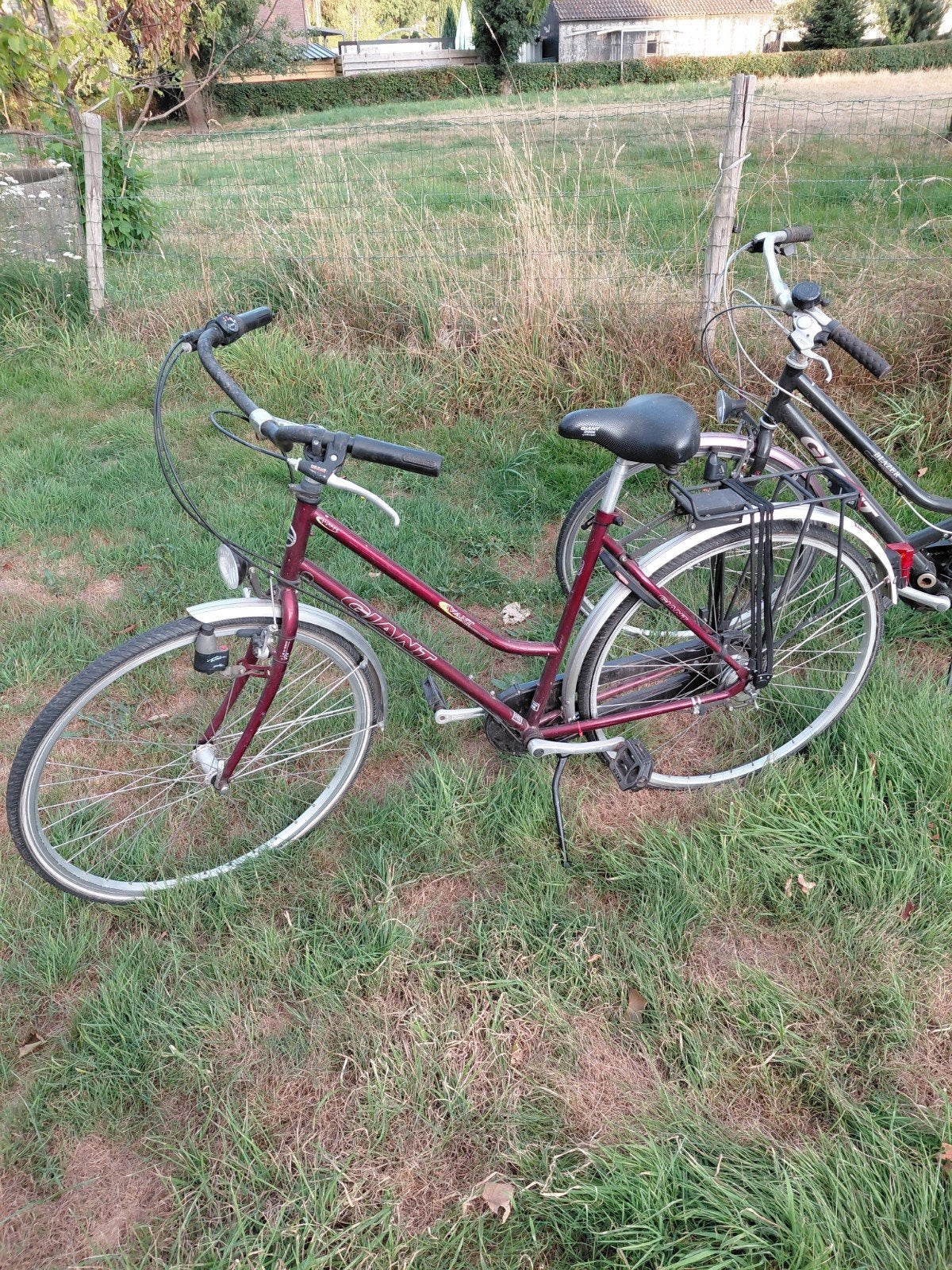 giant damesfietsen 2, Ophalen, Gebruikt, Giant