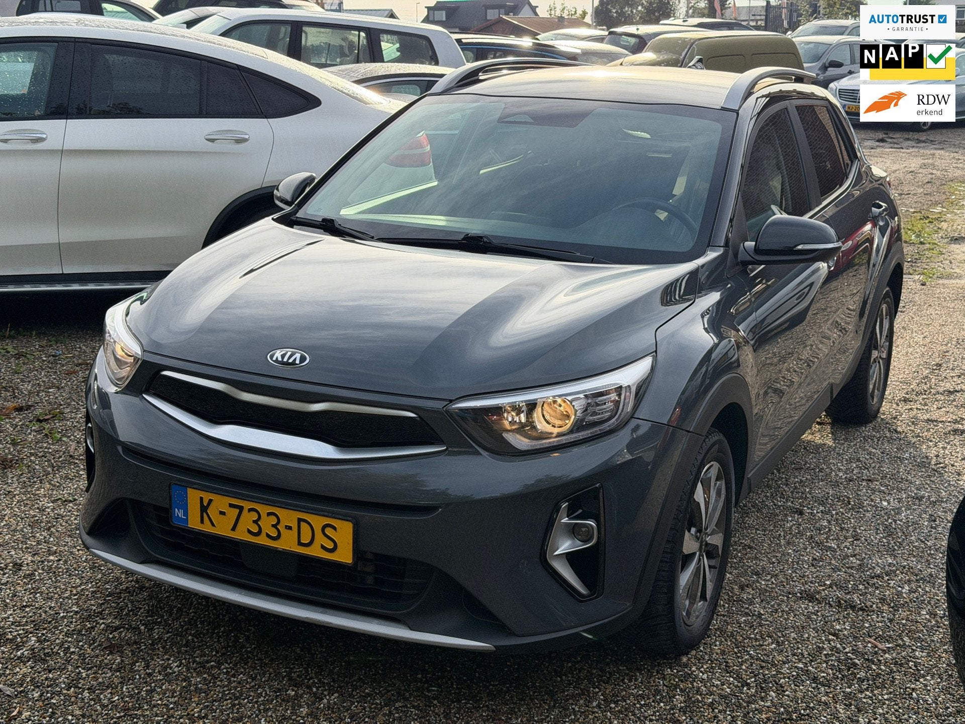 Kia Stonic 1.0 T-GDi MHEV DynamicPlusLine Camera Carplay Stu, Auto's, Voorwielaandrijving, Dealer onderhouden, Gebruikt, Euro 6