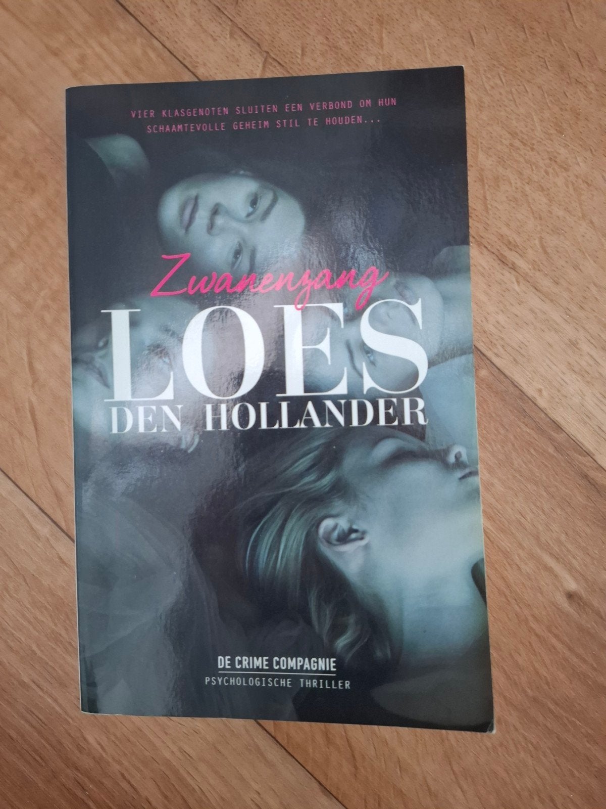 Zwanenzang - Loes den Hollander (Psychologische thriller), Ophalen of Verzenden, Gelezen, Loes den Hollander