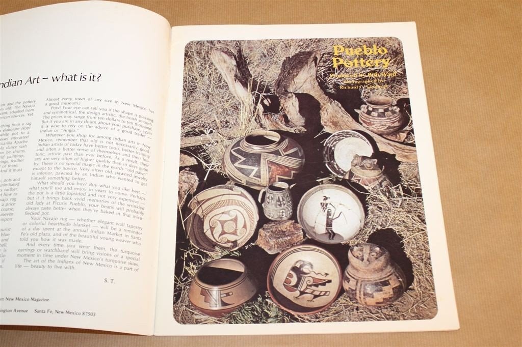 Indiaanse Kunst New Mexico — Aardewerk, Sieraden, Kachina\'s, Ophalen of Verzenden, Gelezen, Noord-Amerika