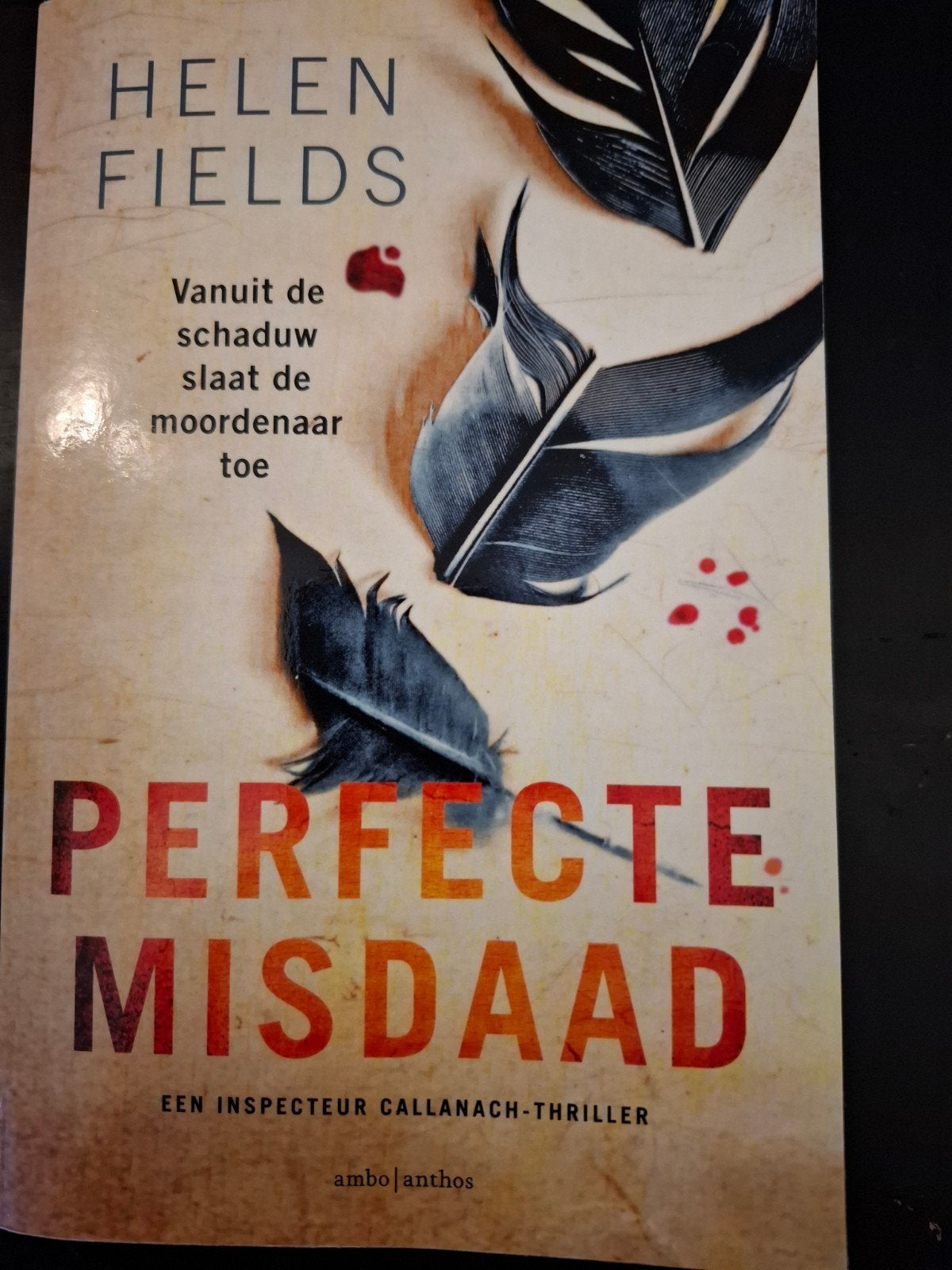 Helen Fields - Perfecte misdaad, Ophalen of Verzenden, Zo goed als nieuw, Helen Fields