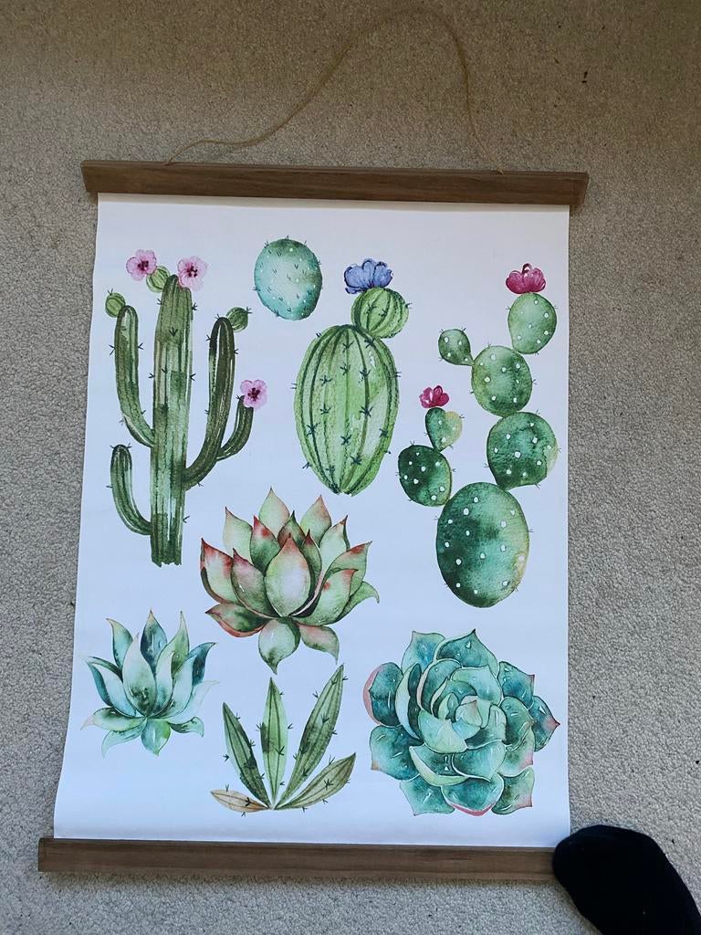 Wanddecoratie met cactussen en vetplanten cactus canvas, Gebruikt, Wandhanger, Hout, Meerkleurig