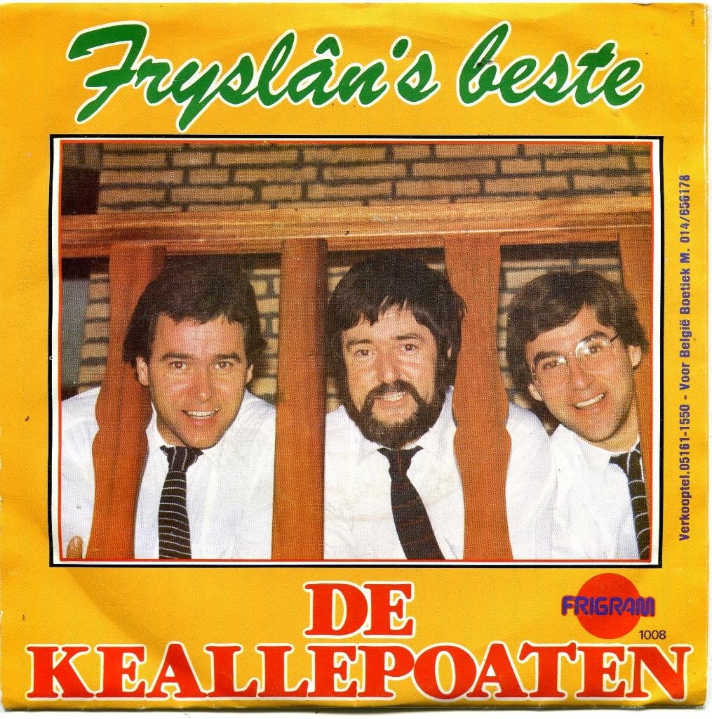 DE KEALLEPOATEN  -  Fryslan's beste, Cd's en Dvd's, Fotohoes, Ophalen of Verzenden, Gebruikt, Nederlandstalig