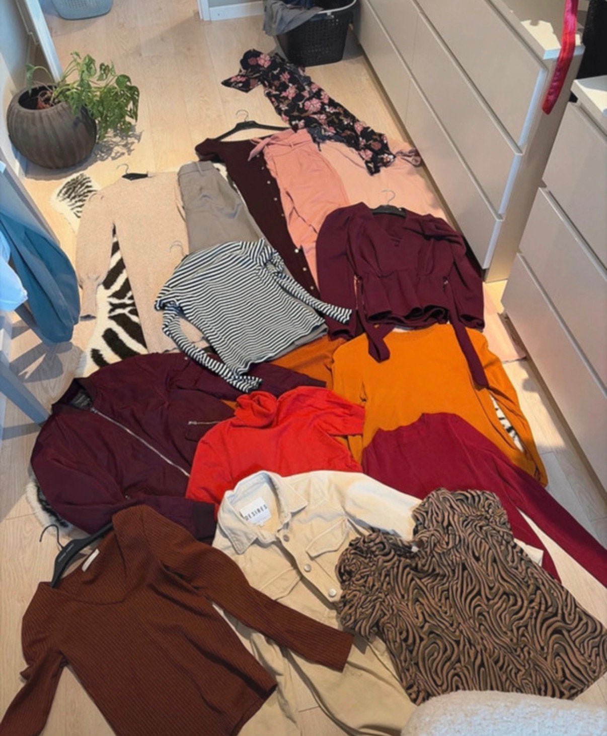 Groot kleding pakket maat xs, Kleding | Dames, Ophalen of Verzenden, Zo goed als nieuw, Maat 34 (XS) of kleiner