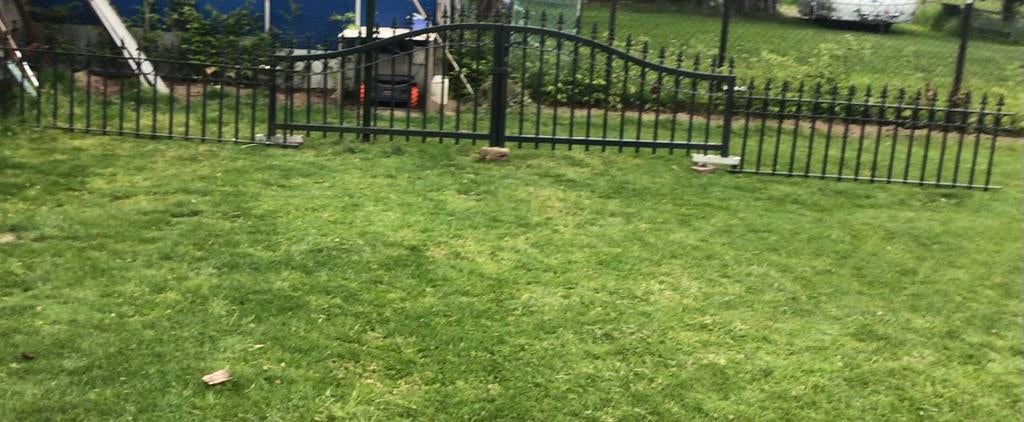 Electrische groene sierpoort., Tuin en Terras, Tuinhekken en Hekwerk, Met poort, Gebruikt, Ophalen of Verzenden, Sierhekwerk