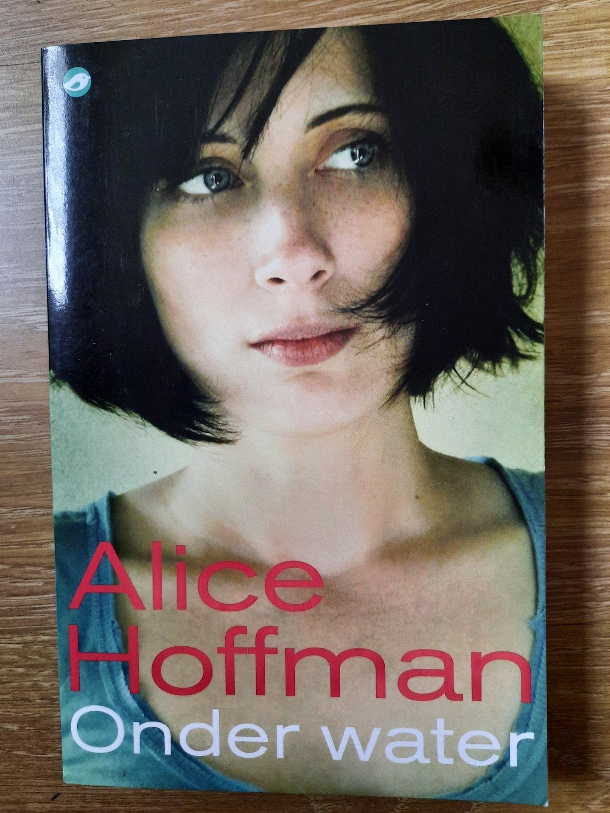 Alice Hoffman - ONDER WATER, Ophalen of Verzenden