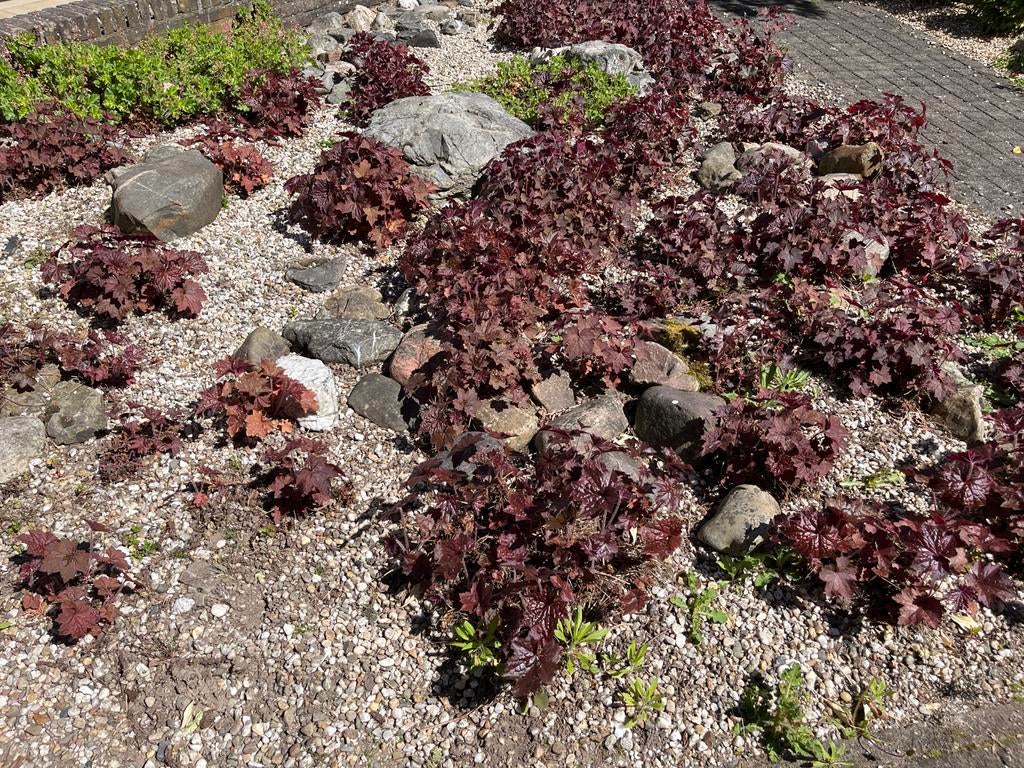 Decoratieve Rotsen en Siergrind voor Tuin, Tuin en Terras, Grind, Keien en Split, Ophalen, Overige materialen, Gebruikt, Kei