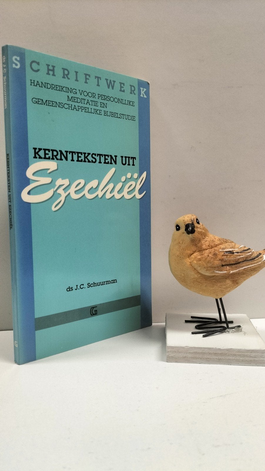 Schuurman, Ds. J.C.; Schriftwerk: Kernteksten uit Ezechiël, Ophalen of Verzenden, Gelezen, Christendom | Protestants