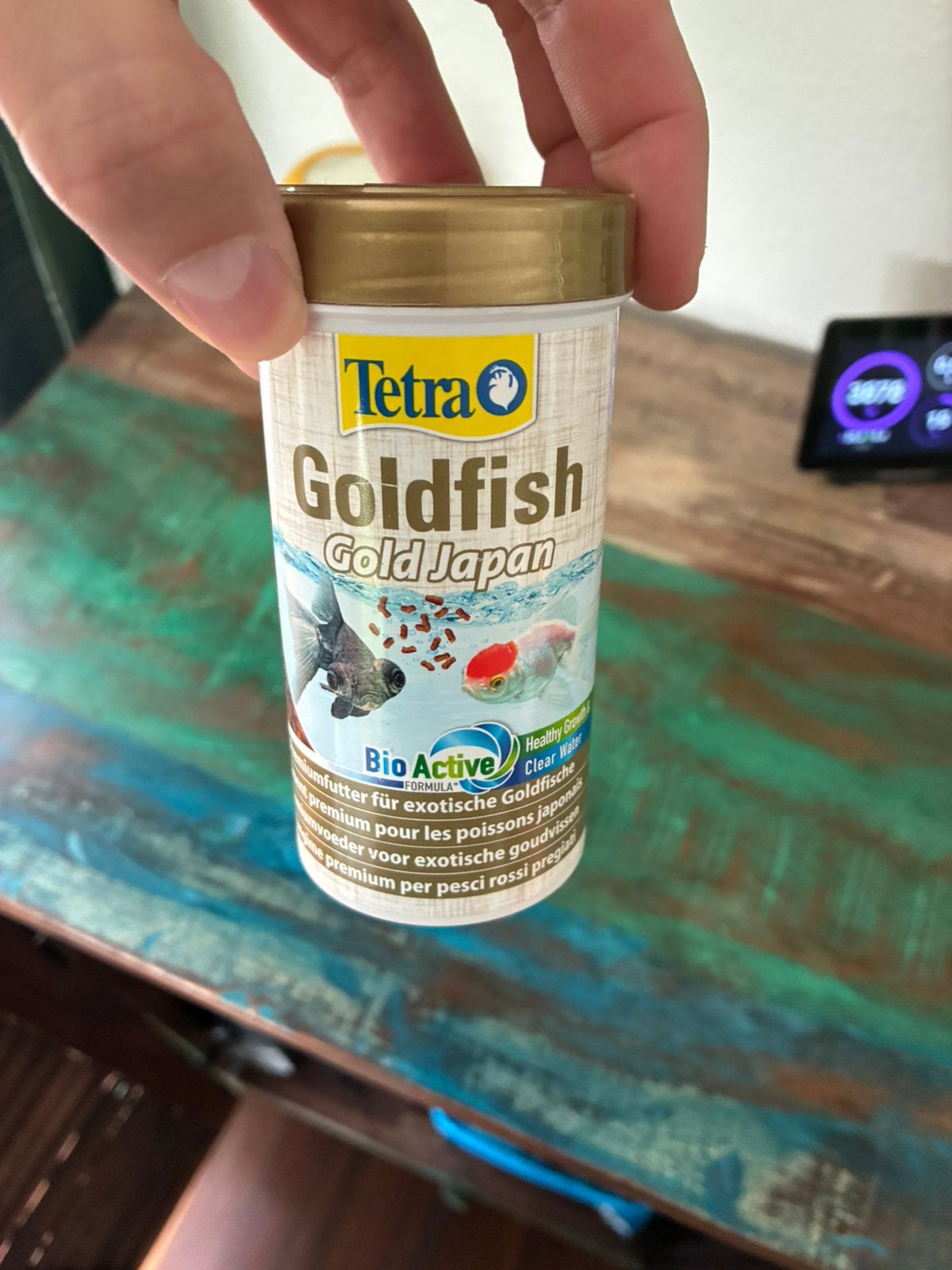 Tetra goldfish, Vis, Zoetwatervis