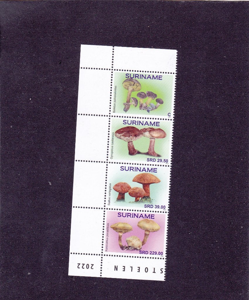 Suriname 2845/48 Paddestoelen 2022 (1196), Verzenden, Postfris