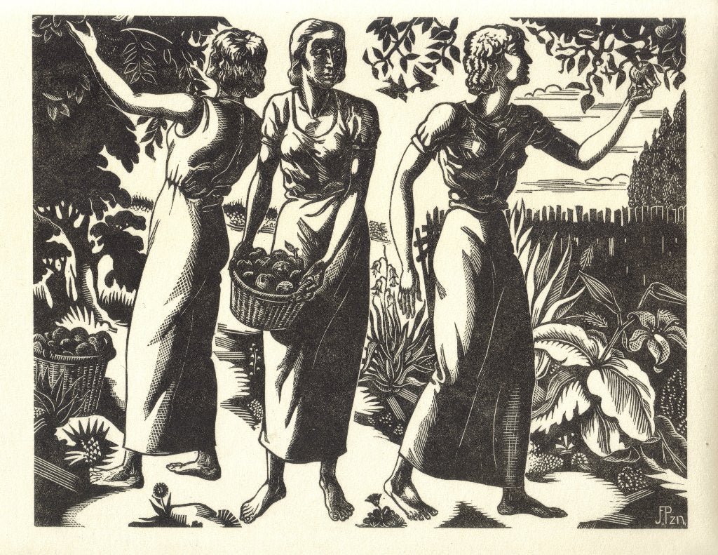 Jan Franken Pzn houtsnede "Drie Fruitpluksters", Ophalen, Dagelijks leven, 1900 - 1949, Houtsnede