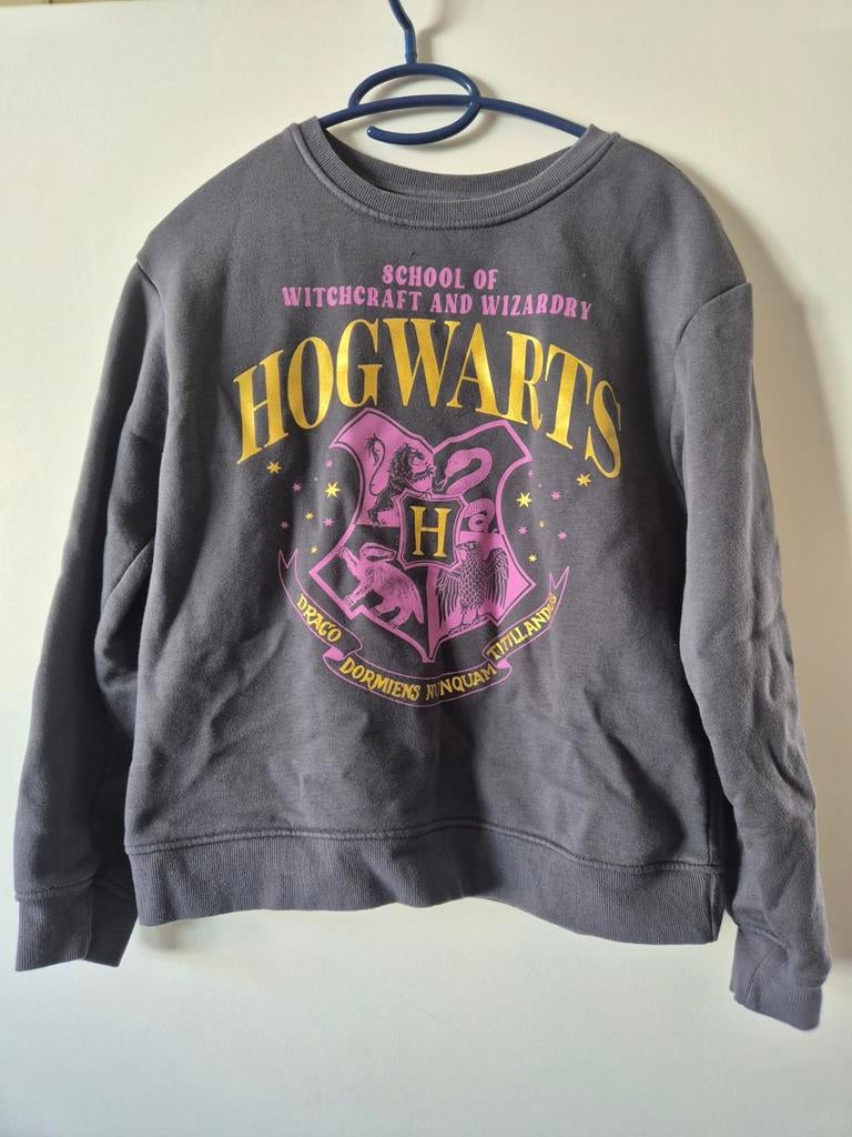 Harry Potter Hogwarts Trui - Maat 152 (11-12 jaar), Kinderen en Baby's, Ophalen of Verzenden, Gebruikt, Harry Potter, Jongen of Meisje