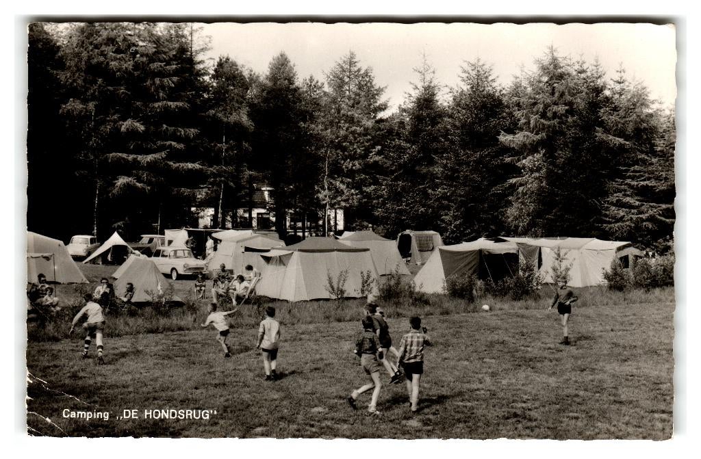 Annen, Camping "De Hondsrug" Lees beschrijving, Verzenden, 1960 tot 1980, Gelopen, Drenthe