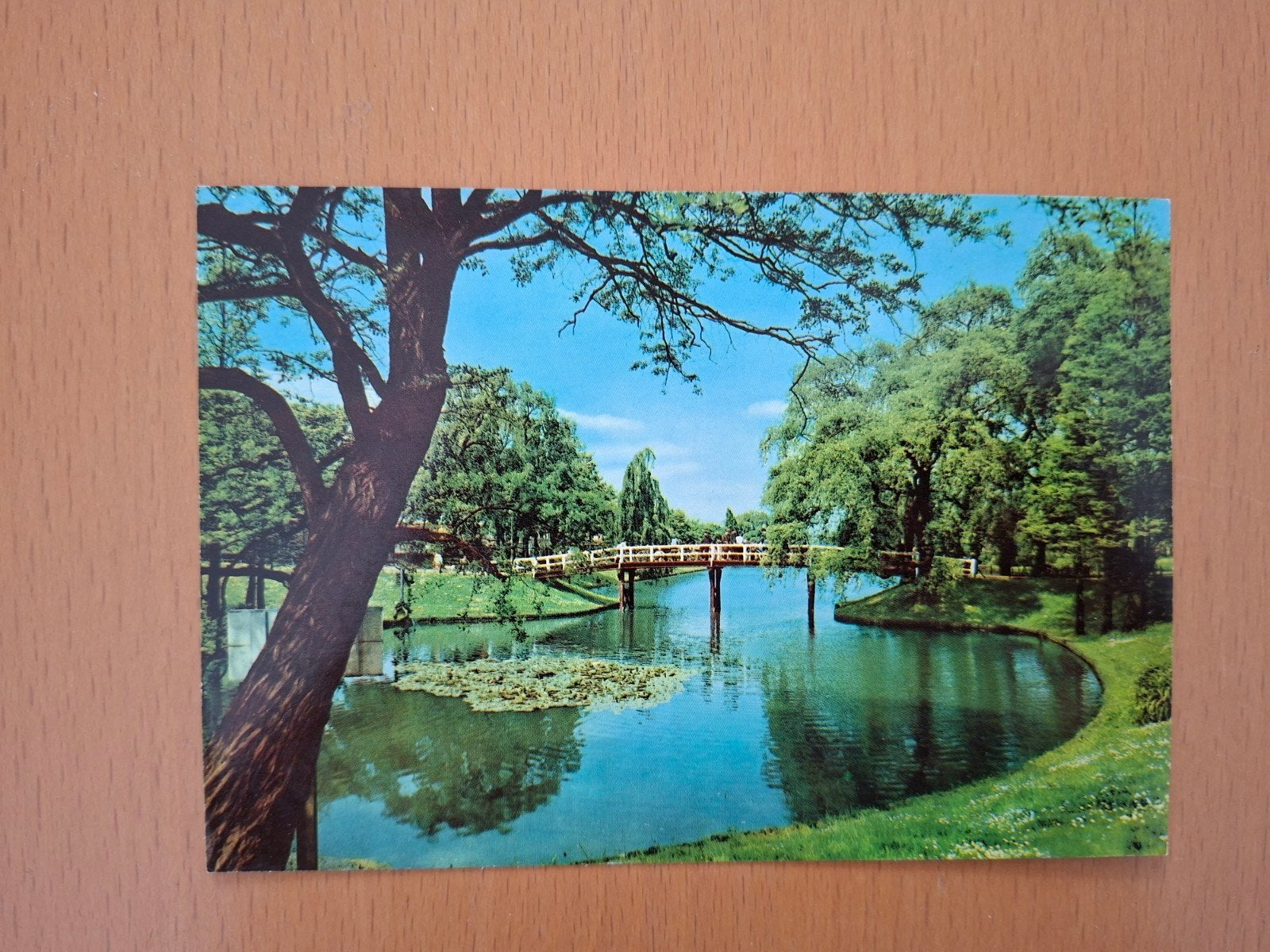 Ansichtkaart Vijverpark Meezenbroek Heerlen, Ophalen of Verzenden, 1940 tot 1960, Ongelopen