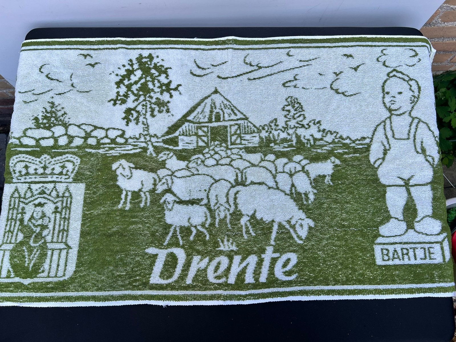 Te Koop Groene Handdoek Drenthe Bartje, Verzamelen, Ophalen of Verzenden, Gebruikt