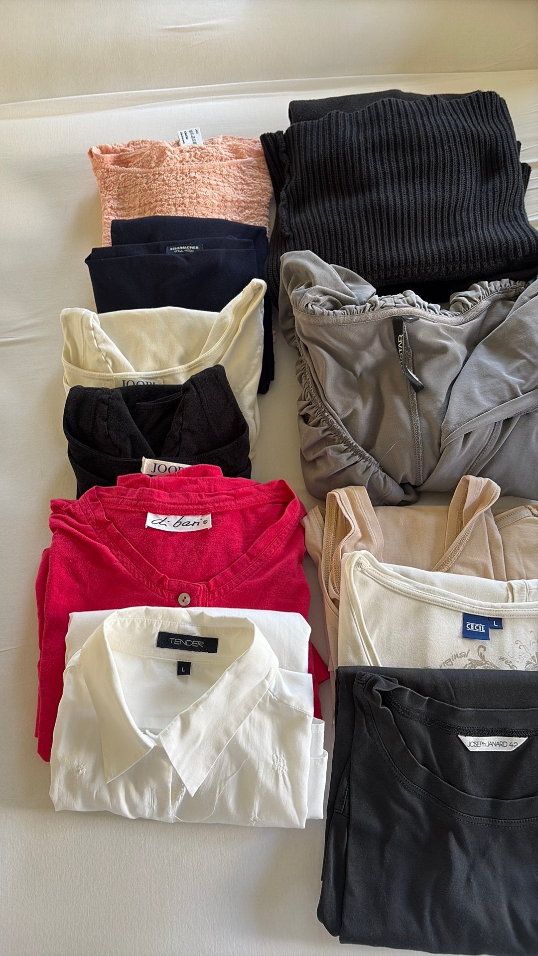Kledingpakket bovenkleding 40-42, Kleding | Dames, Ophalen of Verzenden, Gedragen, Maat 42/44 (L)