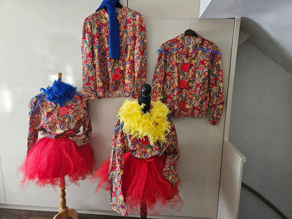 kleding karnaval dames of heren, Carnaval, Maat 42/44 (L), Ophalen of Verzenden, Kleding