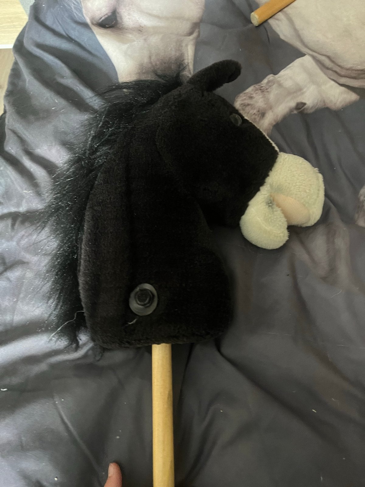 Hobby horse met gebruikssporen, Ophalen of Verzenden, Gebruikt, Jongen of Meisje