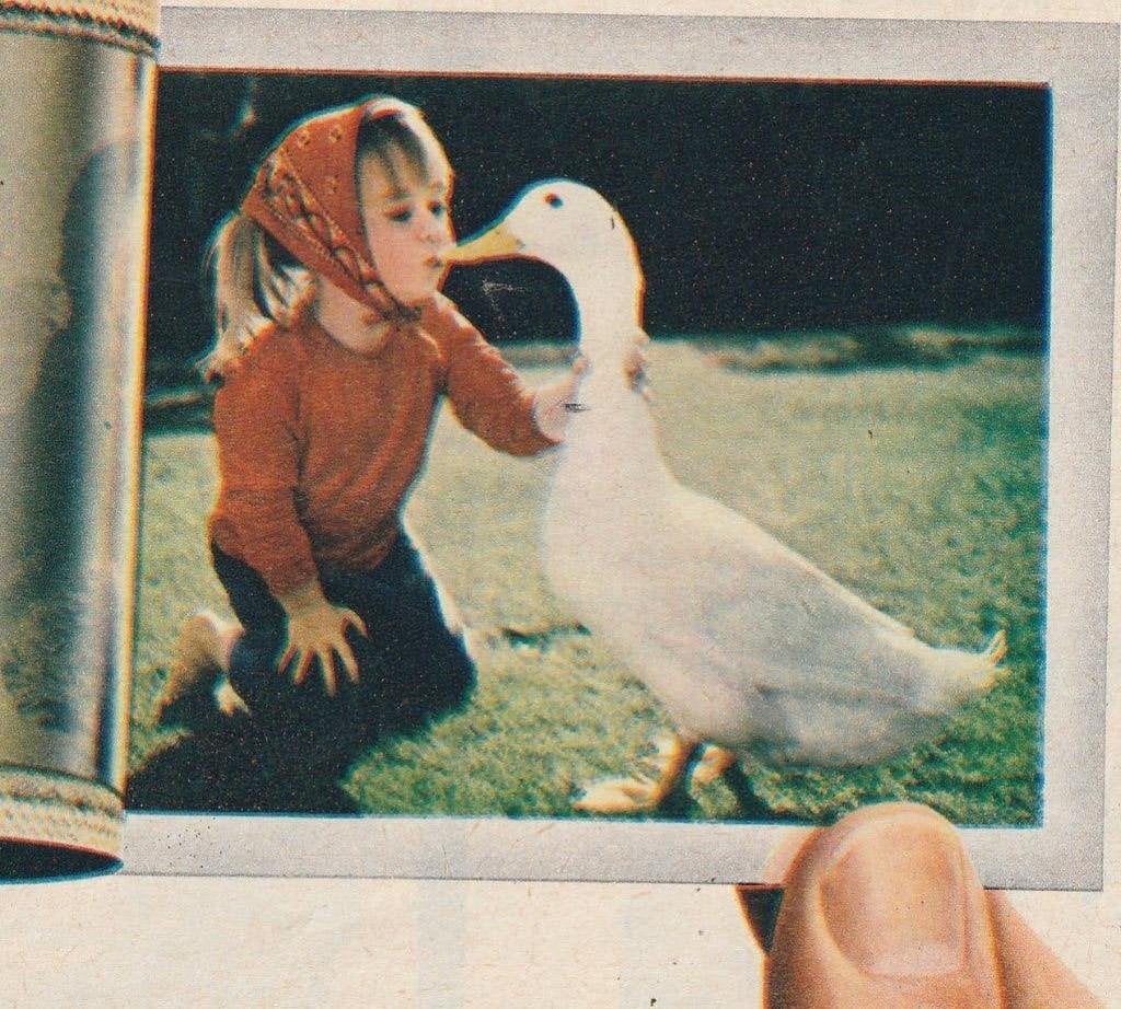 Retro reclame 1966 Polaroid camera meisje met gans, Verzenden, Overige typen