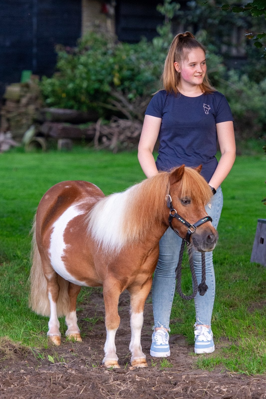 Gezocht! Weidegang en stalling. Best/Oirschot, Dieren en Toebehoren, Stalling en Weidegang, Weidegang, 1 paard of pony