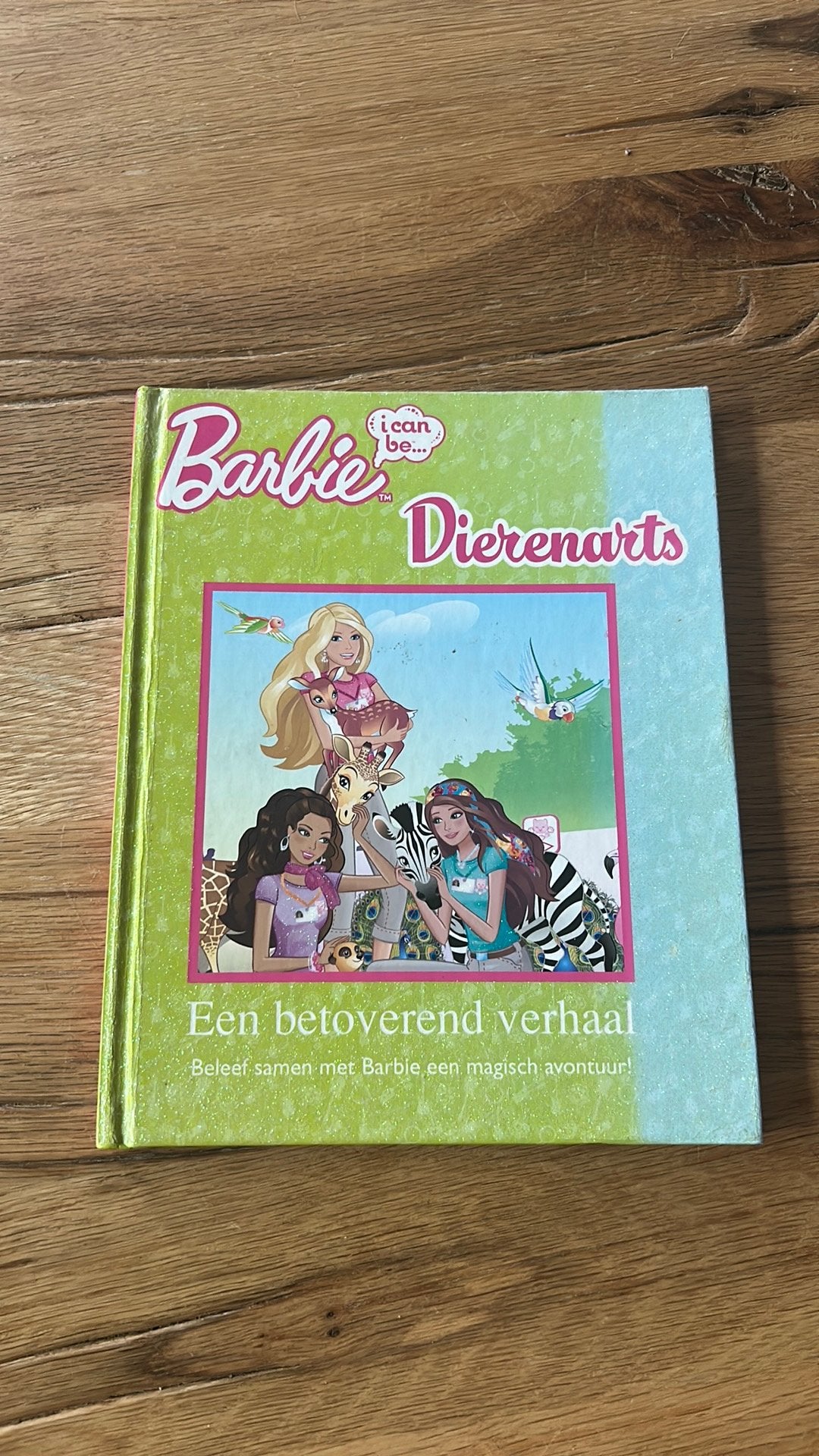 Barbie Dierenarts: Een betoverend verhaal, Ophalen of Verzenden, Zo goed als nieuw, 3 tot 4 jaar