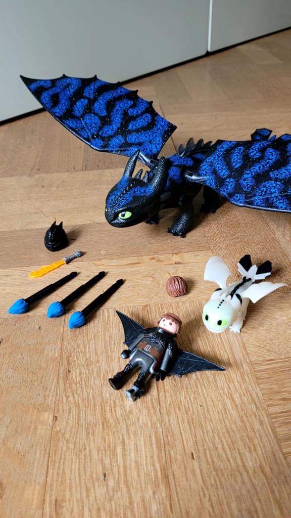 Playmobil Hoe Tem Je Een Draak - Tandloos en Lichtflits, Ophalen of Verzenden, Zo goed als nieuw, Jongen of Meisje