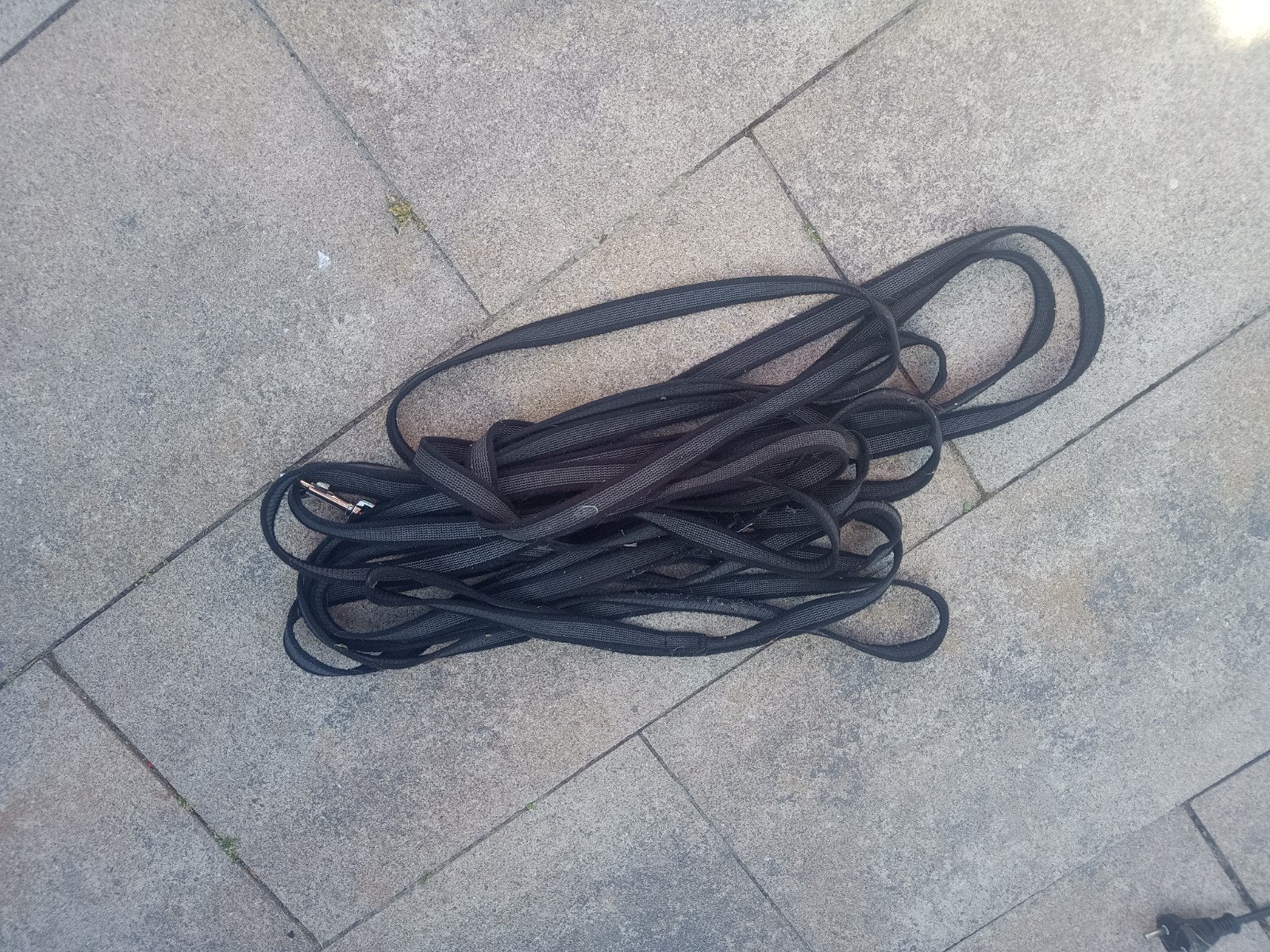 Lange lijn 10 meter, Dieren en Toebehoren, Ophalen
