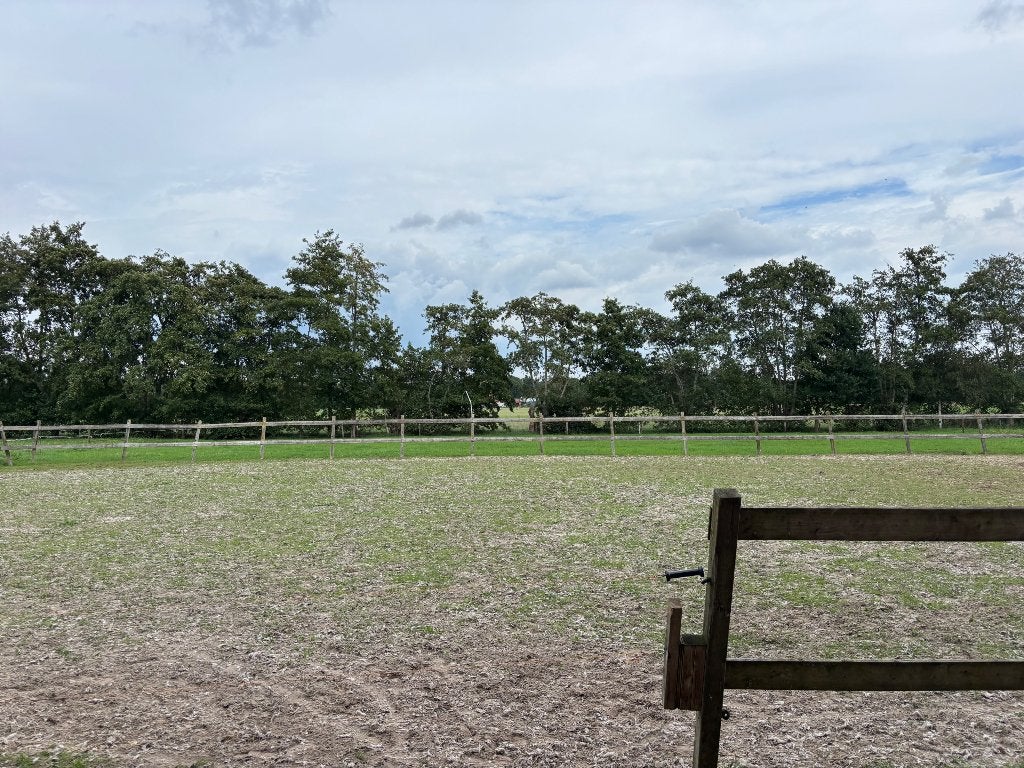 Stalling met weidegang aangeboden, Stalling, 1 paard of pony